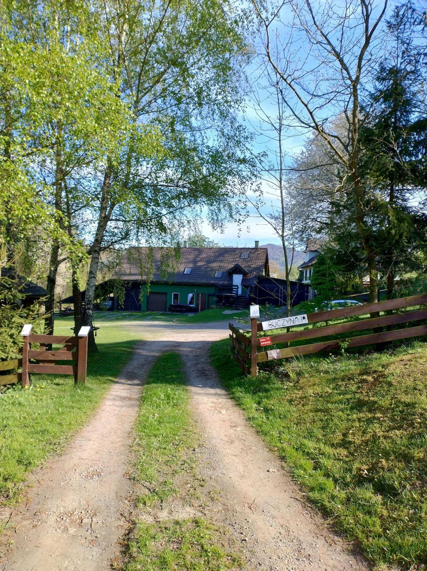 Buczyna